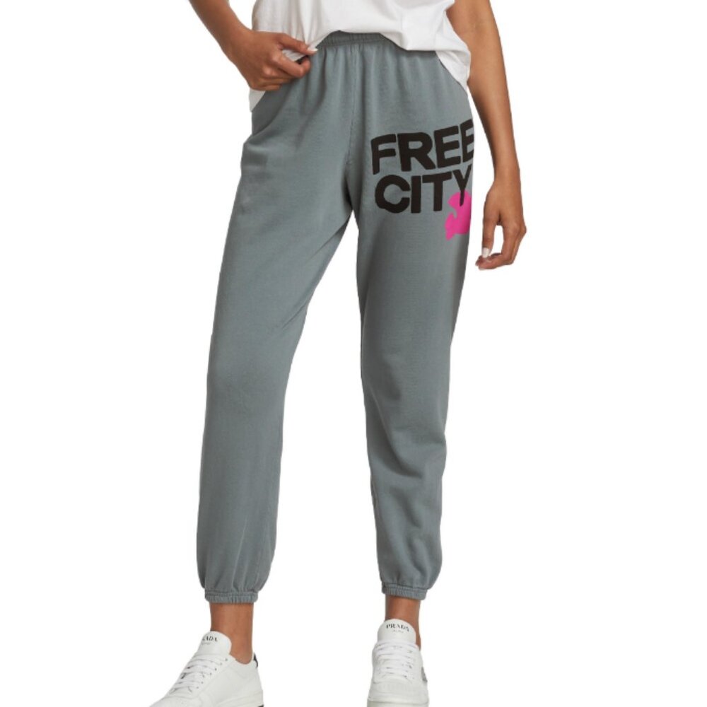 Freecity Large Logo Sweatpants In Gray Art Small